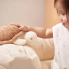 Activity Toy - Turtle