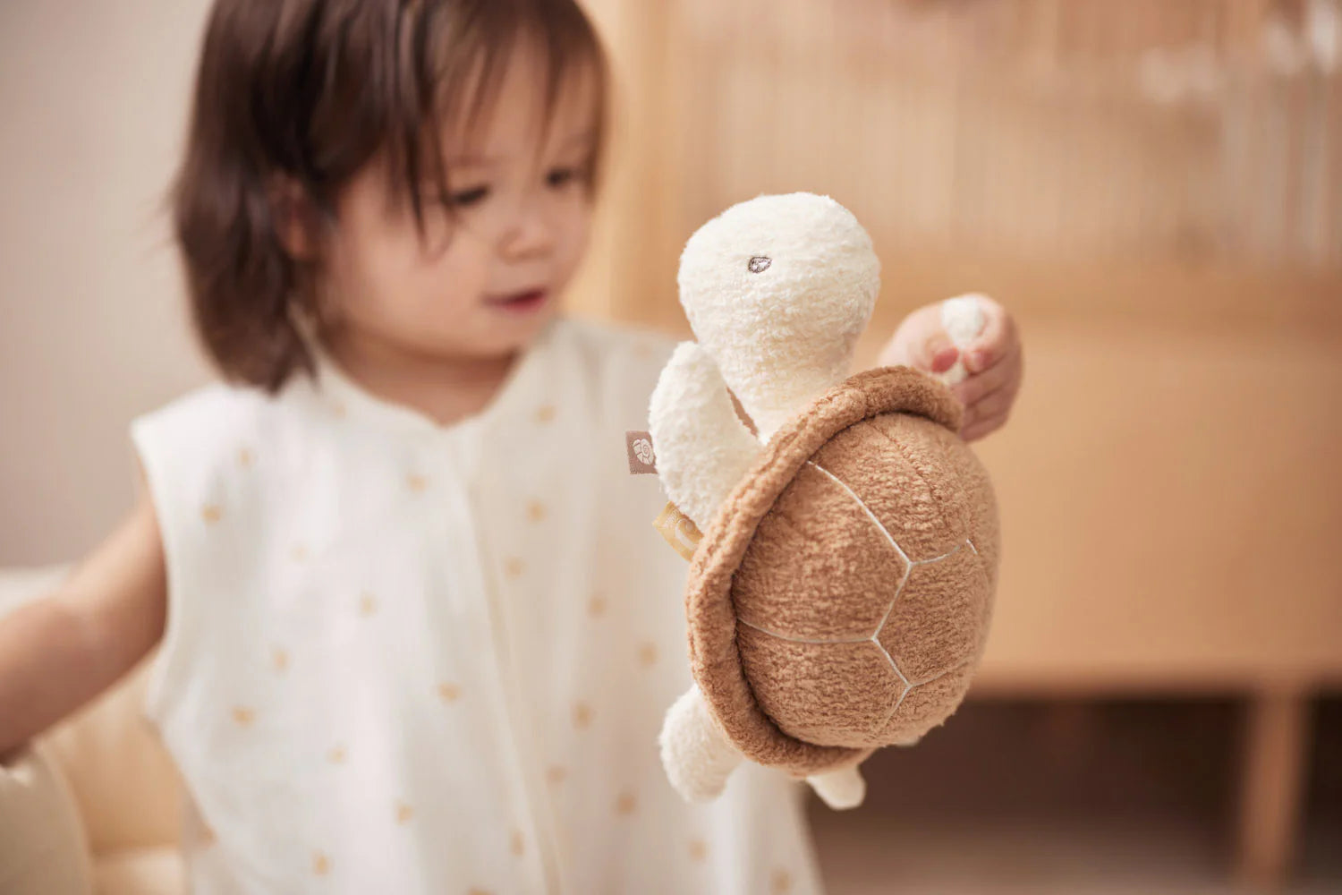 Activity Toy - Turtle