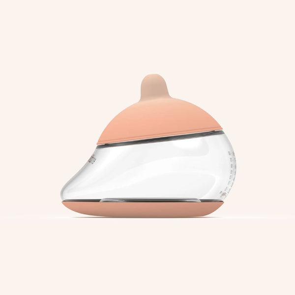 Anatomy Bottle Shape 3 - Fair