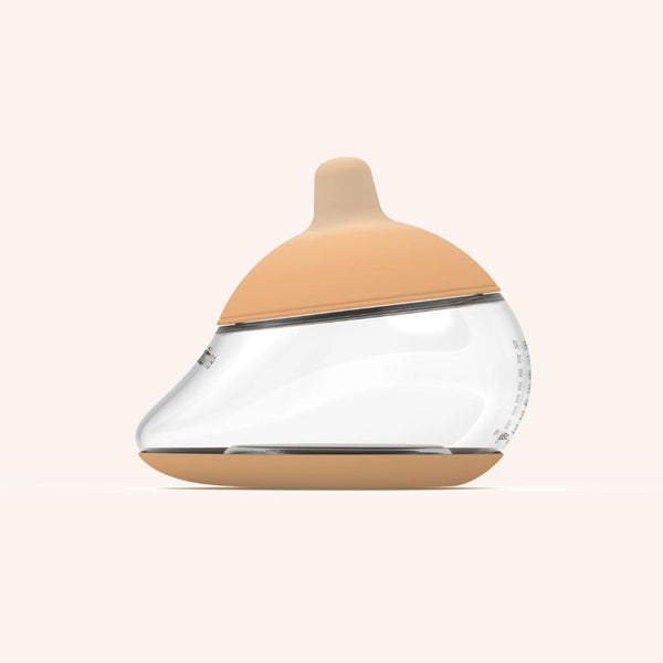 Anatomy Bottle Shape 4 - Light