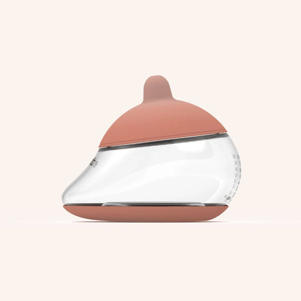 Anatomy Flesh Shape 3 - Medium