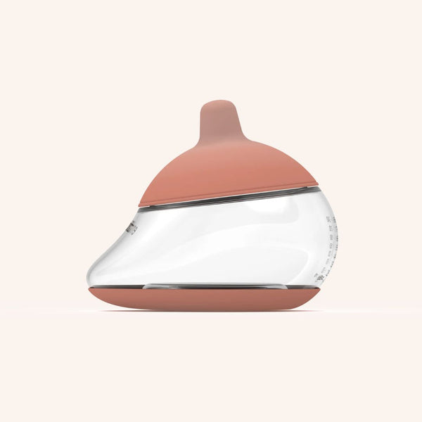 Anatomy Fles Shape 4 - Medium
