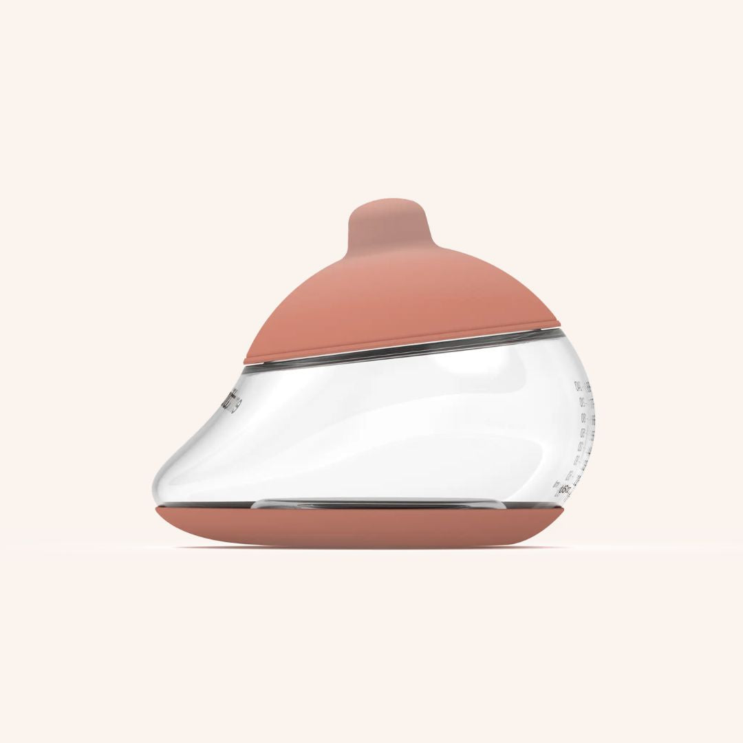 Anatomy Fles Shape 5 - Medium