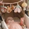 Wagenspanner Fairy Garden