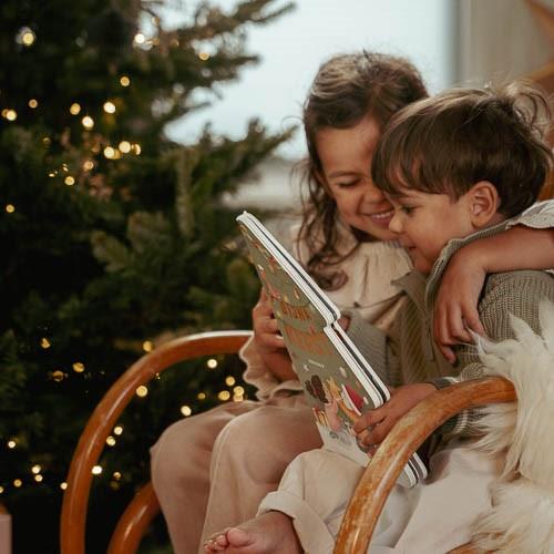 Het is bijna Kerst boek