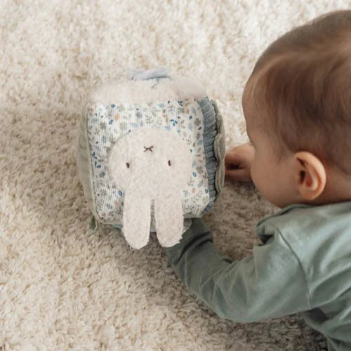 Nijntje activiteitenkubus - Lucky Leaves