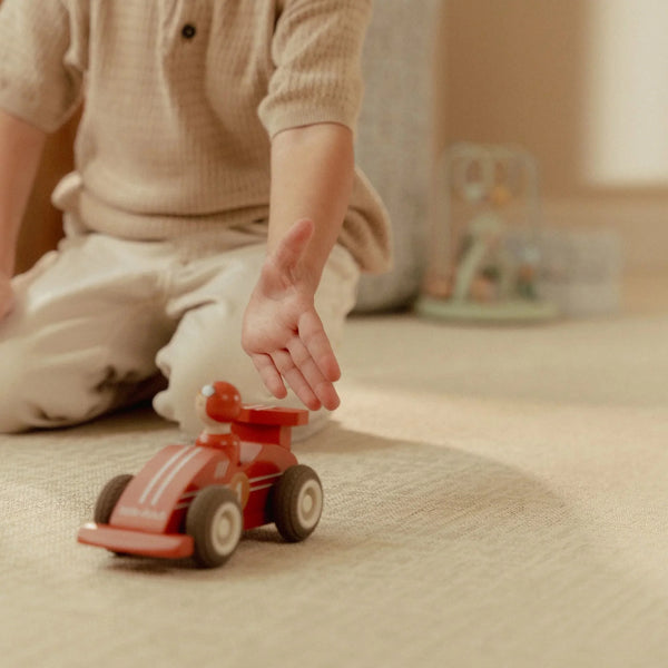 Pullback racewagens (set van 2)