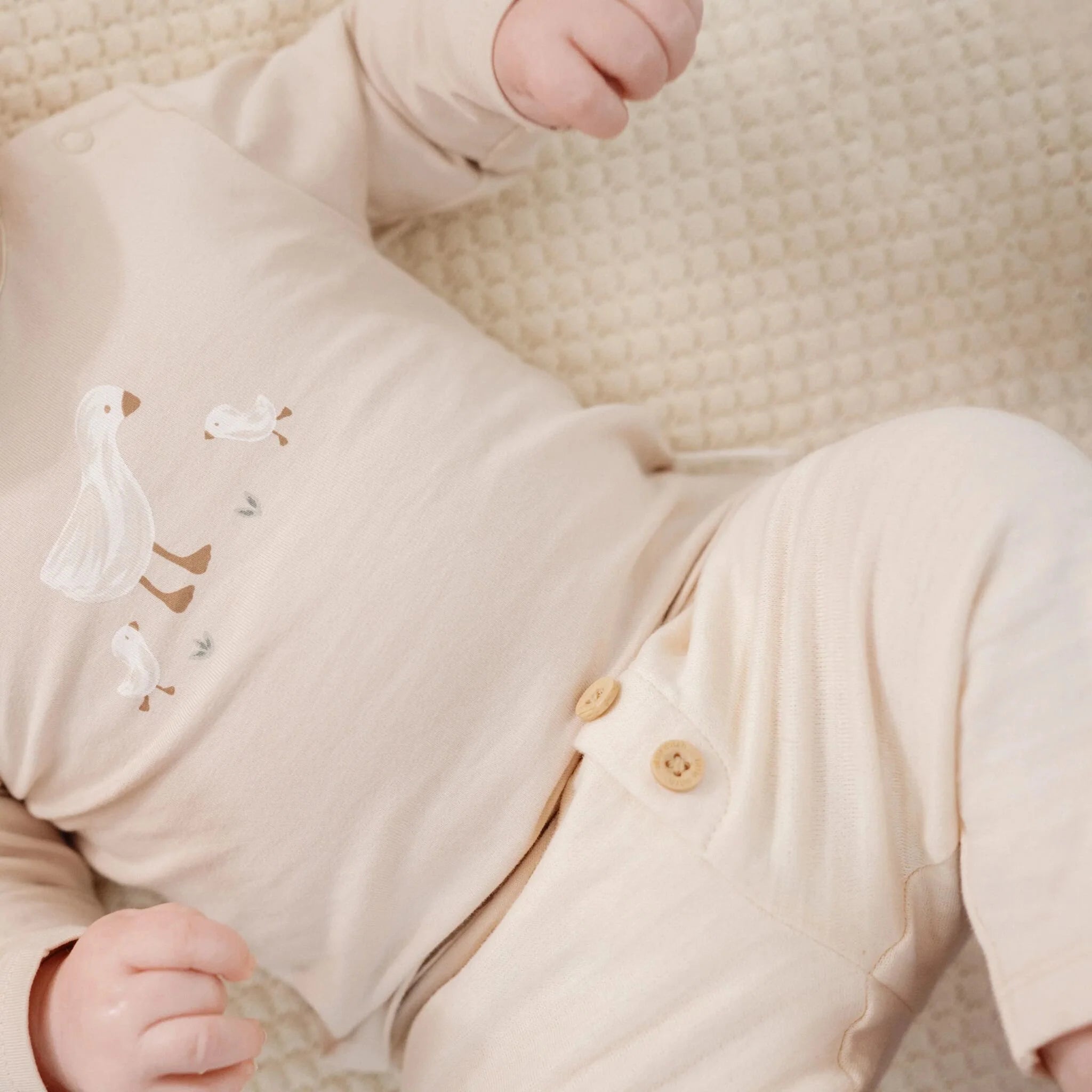 2-pack set Little Goose (shirt lange mouwen + broek)