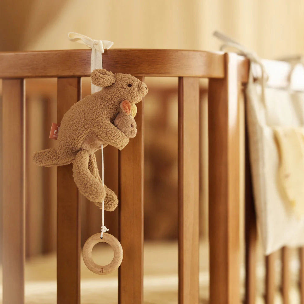 Muziekhanger - Kangaroots