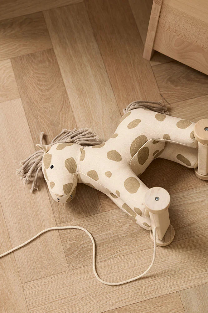 Trekpaardje Dotty