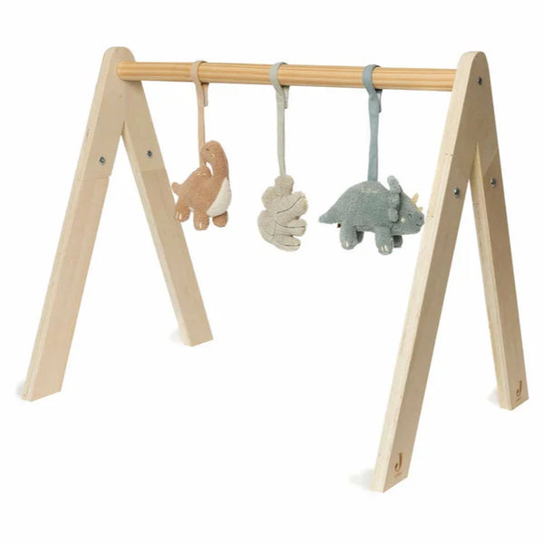 Babygym toys - Roarsome