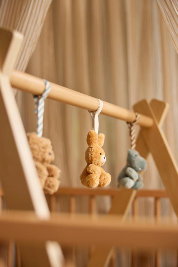 Babygym speeltjes - Jollies