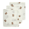 Hydrofiele washandjes 3-pack - Bear
