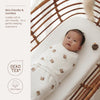 Swaddle 0 - 3 maanden - Bear