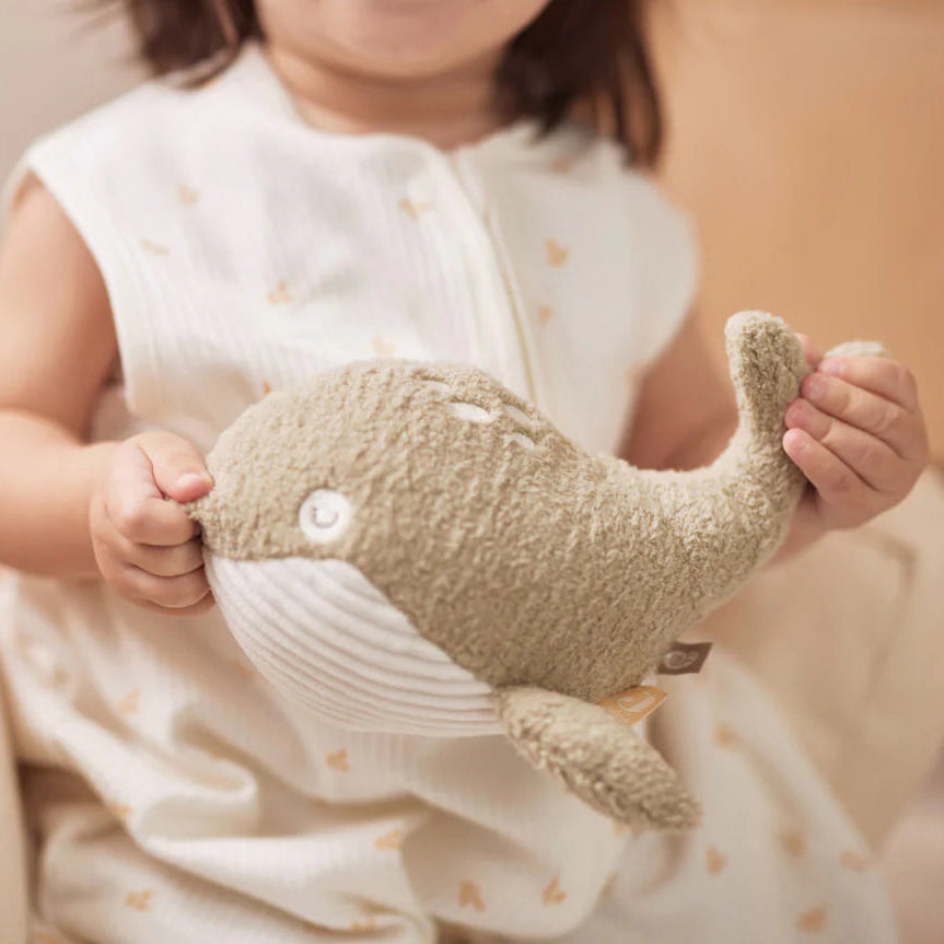 Activity Toy - Turtle