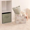 Opbergbak Green/Rainbow (set van twee)