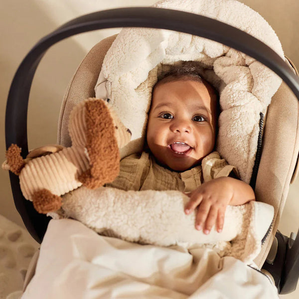 Wagenhanger Diego Dog