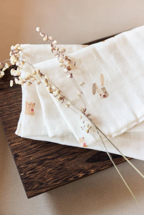 Swaddle 120x120cm 2-pack (various designs)