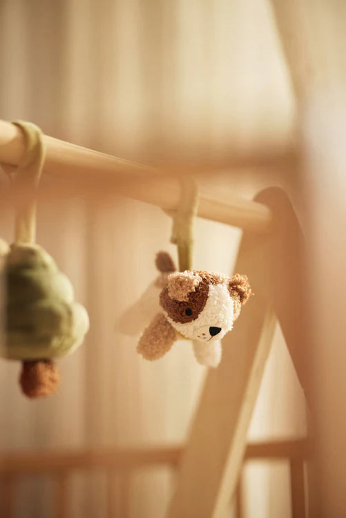 Babygym toys - Tiny Park