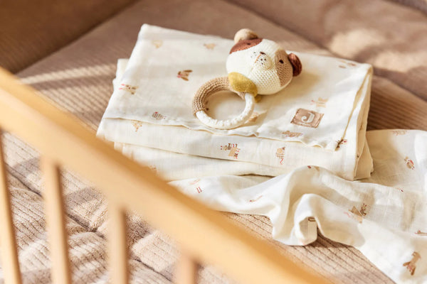 Swaddle 120x120cm 2-pack (various designs)