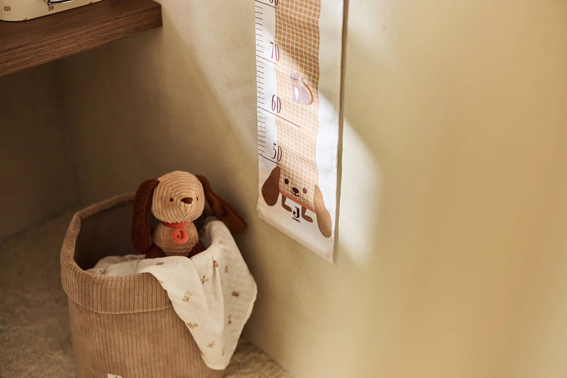 Swaddle 120x120cm 2-pack (various designs)