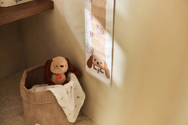 Swaddle 120x120cm 2-pack (various designs)