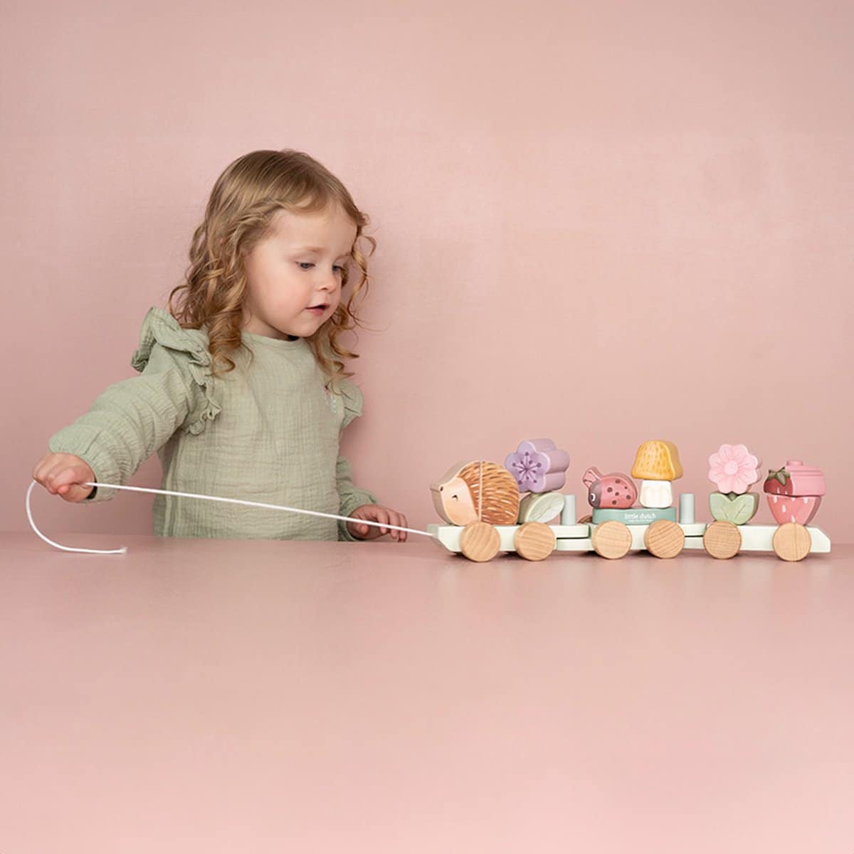 Fairy Garden Blokkentrein Egel