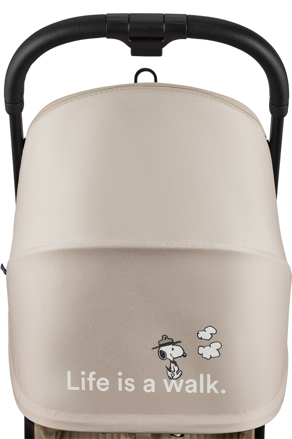 Buggy Rocky S - Smooth Grey