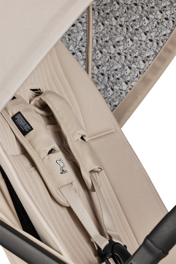 Buggy Rocky S - Smooth Grey