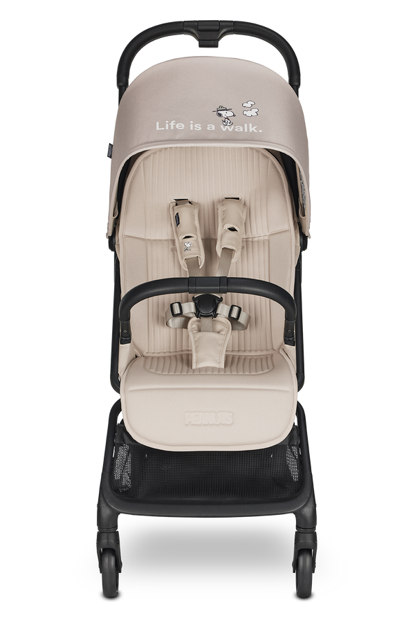 Buggy Rocky S - Smooth Grey