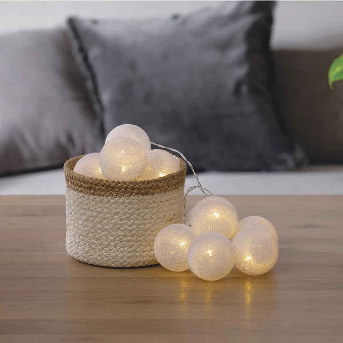 Garland of 10 light bulbs (165 cm) - White