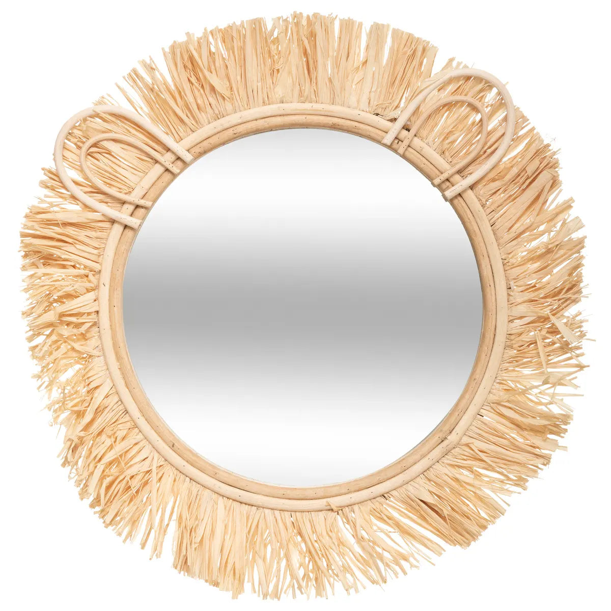 Lion mirror