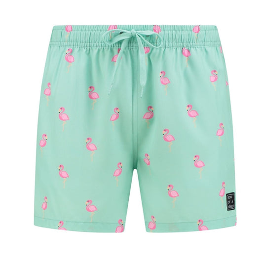 Swimming trunks Flamingo (men) - mint