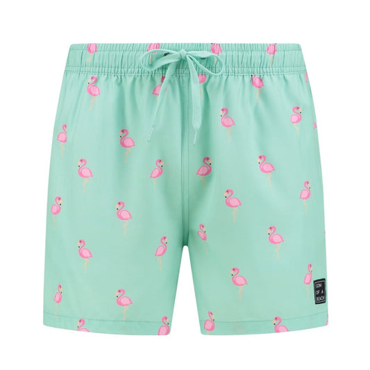 Swimming trunks Flamingo (sons) - mint