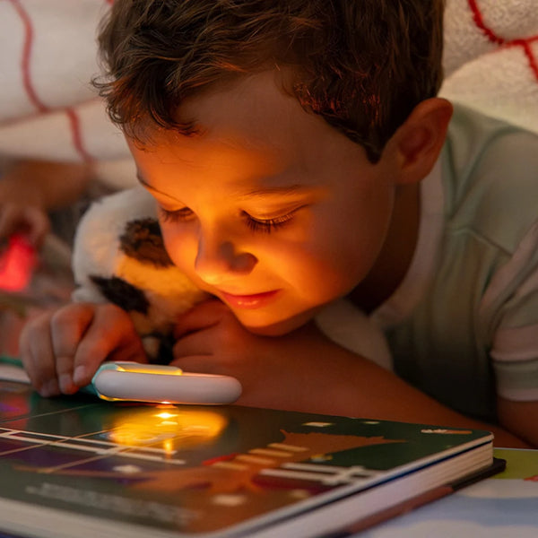 Blairs Bijzondere Ideeentuin (interactief boek)