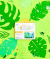 Fun Fillers - Safari