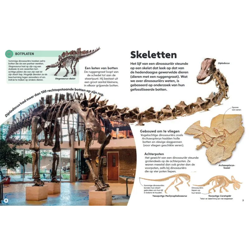 Het kleine boek over dinosauriërs (6+)