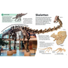 Het kleine boek over dinosauriërs (6+)
