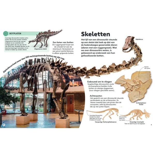 Het kleine boek over dinosauriërs (6+)
