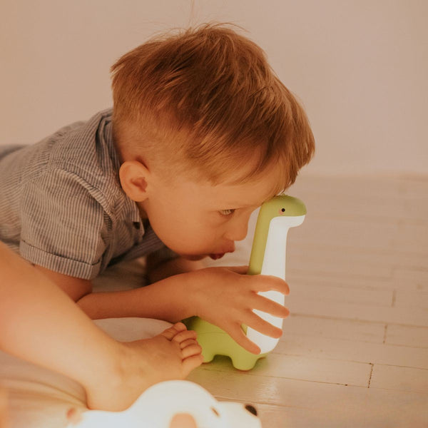 Nachtlamp Dinosaur (USB)