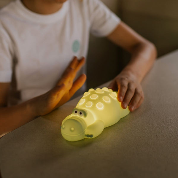 Nachtlamp Pop-it Crocodile (USB)