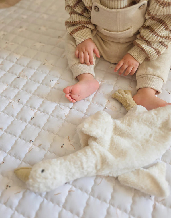 Speelkleed Birds (⌀ 140 cm)