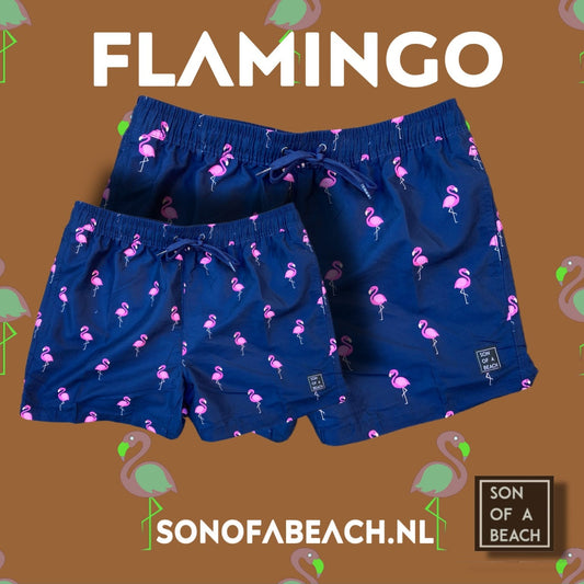 Swimming trunks Flamingo (sons)